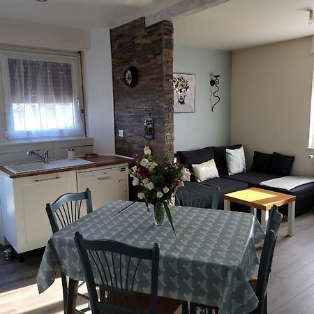 Appartement Au Cigogneau Wifi-Netflix-Balcon-Parking Munster  Exteriér fotografie
