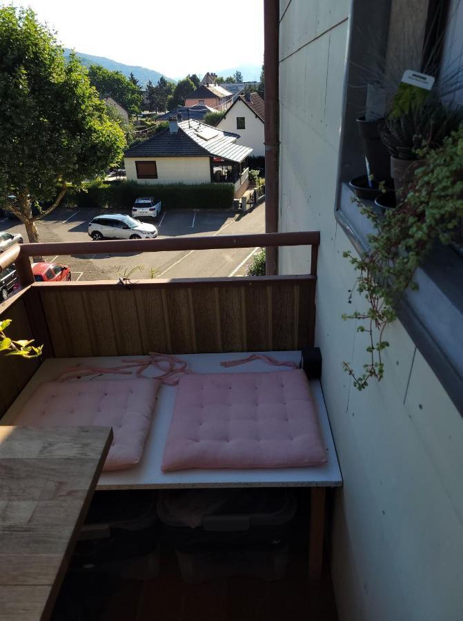 Appartement Au Cigogneau Wifi-Netflix-Balcon-Parking Munster  Exteriér fotografie
