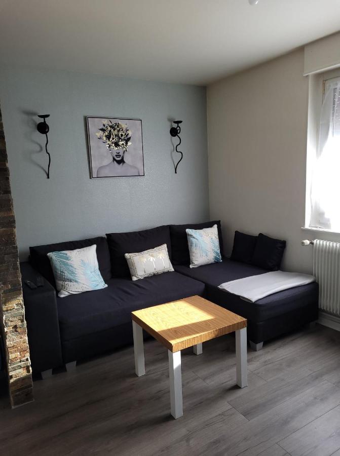 Appartement Au Cigogneau Wifi-Netflix-Balcon-Parking Munster  Exteriér fotografie