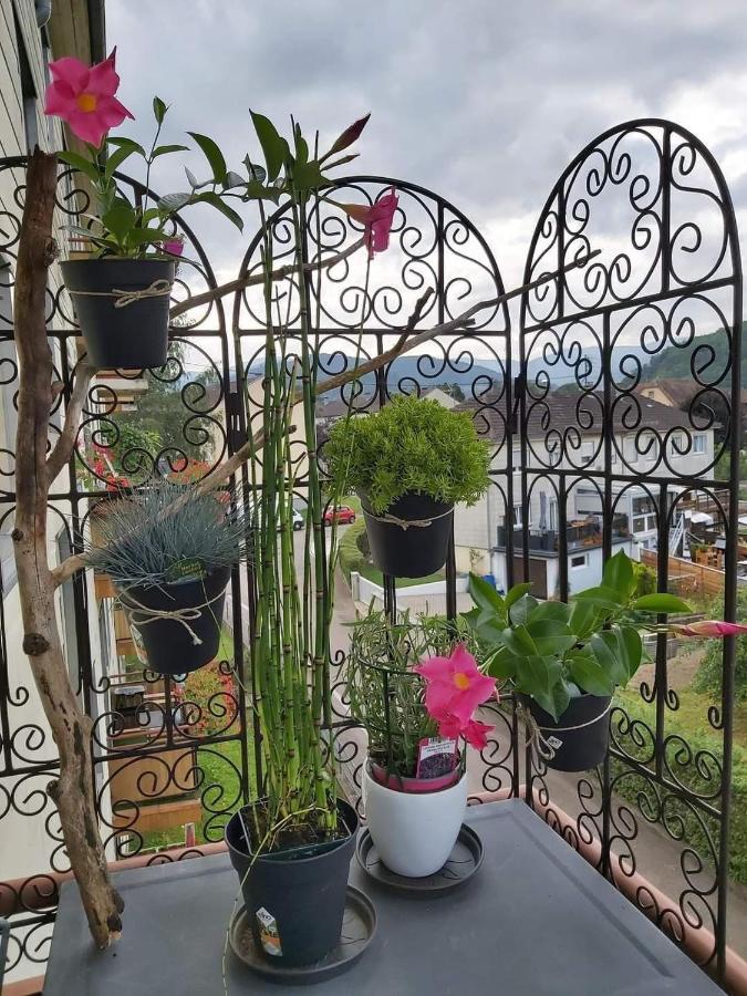 Appartement Au Cigogneau Wifi-Netflix-Balcon-Parking Munster  Exteriér fotografie