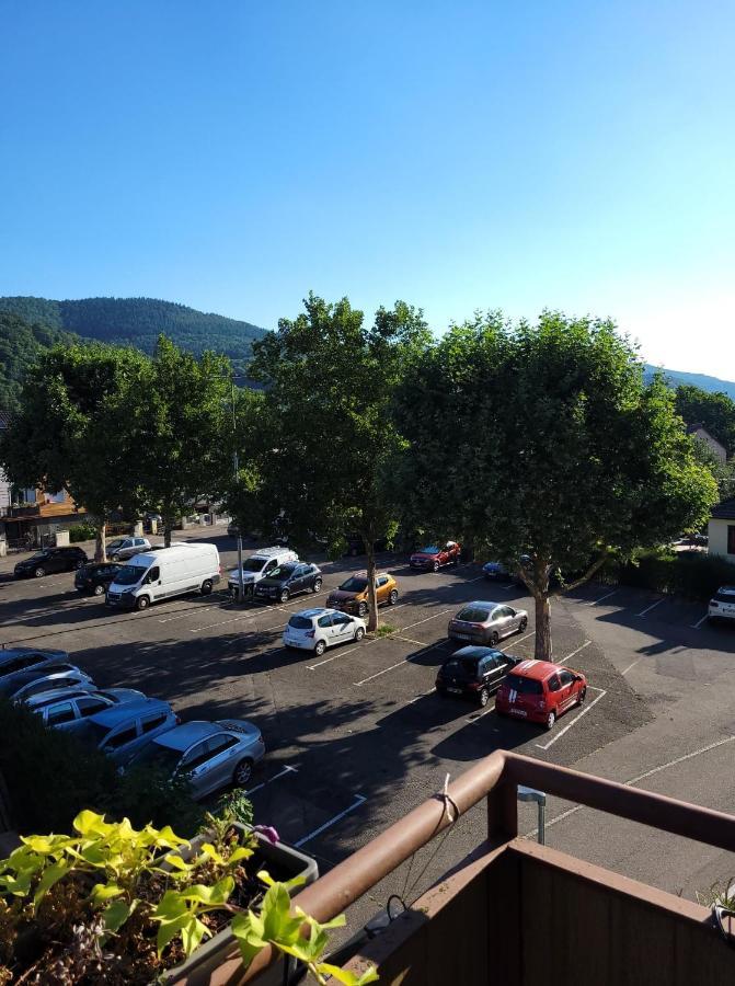 Appartement Au Cigogneau Wifi-Netflix-Balcon-Parking Munster  Exteriér fotografie